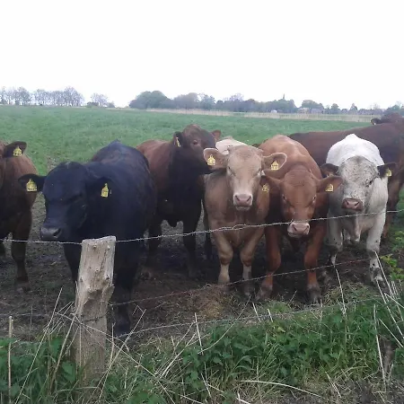 Дом отдыха Luxus Mit Terrasse, Sehr Ruhig In *