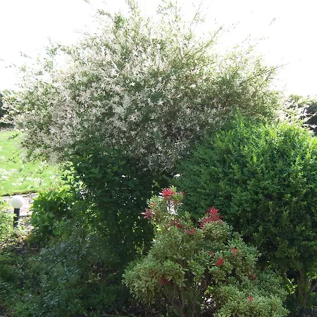 בית נופש Luxus Mit Terrasse, Sehr Ruhig In *