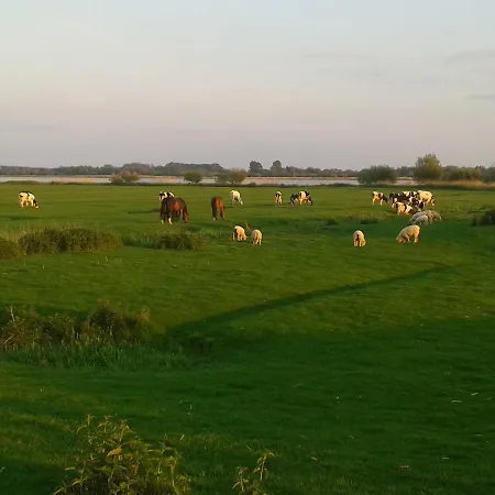 Luxus Mit Terrasse, Sehr Ruhig In * Кольмар